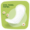 Прокладки Naturella щоденні Сamomile Light Single №20
