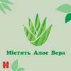 Салфетки влажные Хаггис Natural Care 56*3