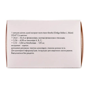 Билобил Интенс 120 мг капсулы по 120 мг 60 шт. (10х6)