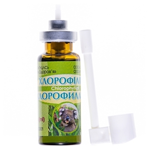 Хлорофиллипт спрей по 15 мл в контейнере