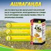 Ашваганда Супер концентрат капс. 500мг №60