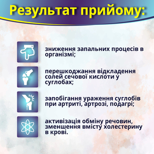 Урисан капс. фл. N60