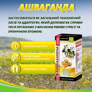 Ашваганда Супер концентрат капс. 500мг №60