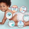 Підгузки-трусики Pampers Premium Care Pants Maxi 9-15 кг №38