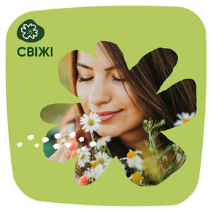 Прокладки Naturella щоденні Сamomile Light Single №20