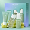 Набір Caudalie 2831-1 Vinopure Spring Set 1,2,3 (Сироватка 30мл+Тонік 50мл+Желе д/очищ 30мл)