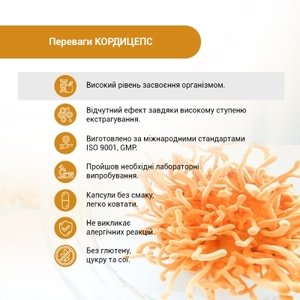 Кордицепс супер капс. 400мг №60