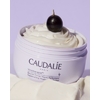 Бальзам Caudalie 362 Vinotherapist для тіла 250г